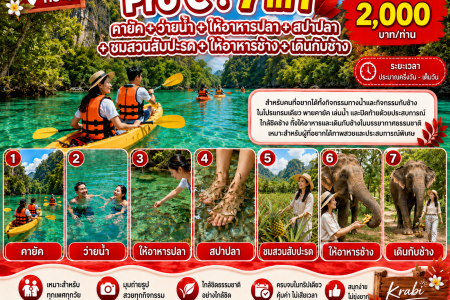 Pro B – Kayaking & Elephant Feeding