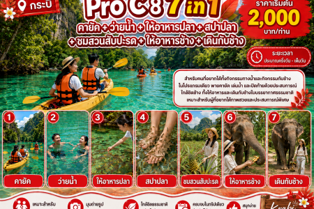 Pro C – Kayaking & Elephant Walk