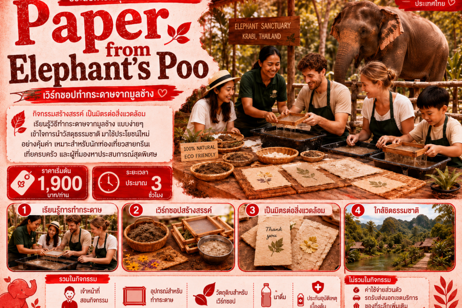 Paper from Elephant’s Poo