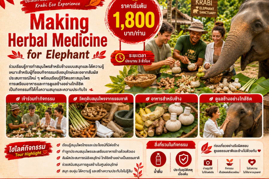 Making Herbal Medicine for Elephant