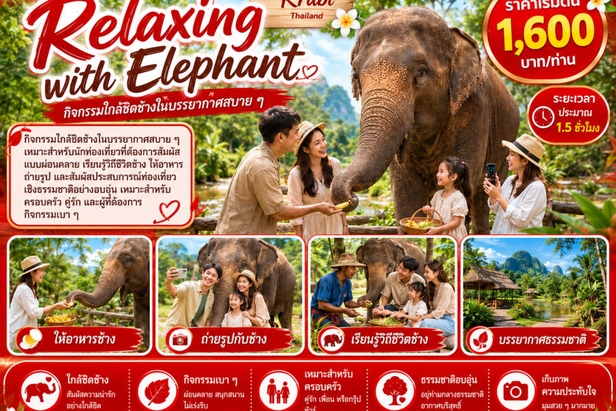 Relaxing with Elephant